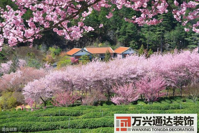 什么風(fēng)水最準(zhǔn)最好最準(zhǔn)的風(fēng)水